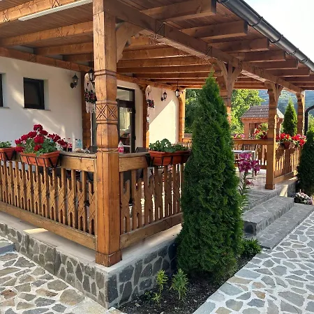Guest house Casa Maramuresana *