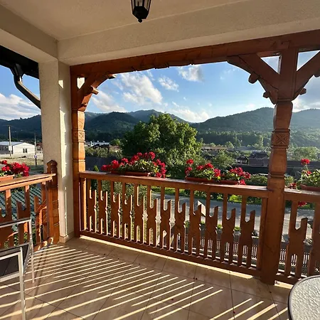 Casa Maramuresana Pensiune Vişeu de Sus